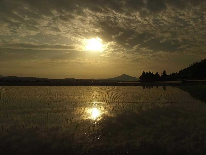 魅力的な風景